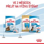 Royal Canin Starter Mother&Babydog Maxi 15 kg – Zbozi.Blesk.cz