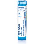 HEPAR SULFURIS CALCAREUM POR 9CH GRA 4G – Hledejceny.cz