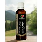 Rabštejnská apatyka Javor klen tinktura z pupenů 50 ml – Hledejceny.cz