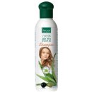 Finclub šampon na vlasy Aloe Vera & Olivový olej 250 ml