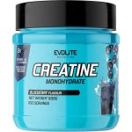 Evolite Creatine Monohydrate 500 g – Zboží Mobilmania