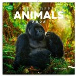 Nástěnný poznámkový Ohrožené druhy 2026 – Sleviste.cz