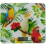 PROHOME 20 x 19 cm – Sleviste.cz