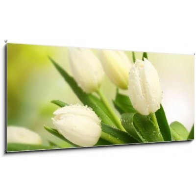 Obraz 1D panorama - 120 x 50 cm - tulip tulipán – Zboží Mobilmania