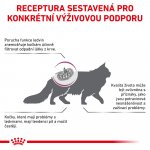 Royal Canin Veterinary Diet Cat Renal Feline 4 kg – Sleviste.cz
