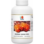DXN Reishi Gano RG 360 kapslí – Hledejceny.cz