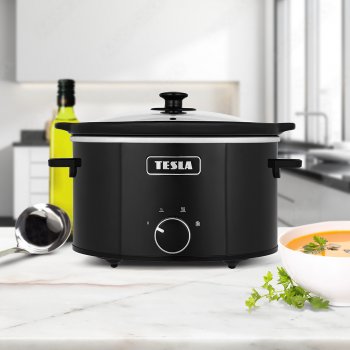 TESLA SlowCook S350