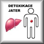 Jukl bylinná směs Cholesterol 100 g – Hledejceny.cz