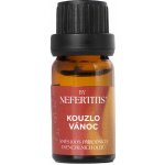 By Nefertitis směs 100% esenciálních olejů KOUZLO VÁNOC 10 ml – Hledejceny.cz