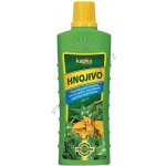 Forestina Kapalné hnojivo pro pokojové rostliny nekvetoucí KAPKA 1 l – Zboží Dáma