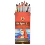 Koh-i-noor Umělecké akvarelové voskové pastely Wax Aquarelle 8282 set – Hledejceny.cz