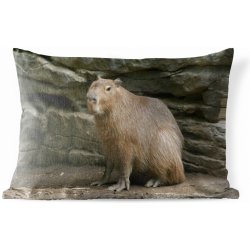 MuchoWow Vnější polštář Kapybara ve skalnatém prostředí 60x40
