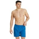 Arena Fundamentals Arena Logo Boxer Royal/Turquoise/White