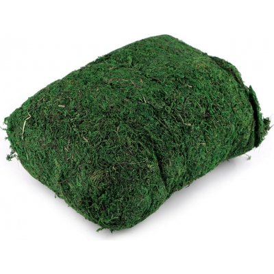 Dekorační přírodní mech 450 g zelená jedle 1 sáček – Sleviste.cz