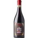 Giusti Amarone della Valpolicella DOCG 2017 15,5% 0,75 l (holá láhev) – Hledejceny.cz