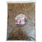 Apetit BLACK SOLDIER FLY LARVEA 0,5 kg – Hledejceny.cz