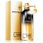 Montale So Amber parfémovaná voda unisex 100 ml – Hledejceny.cz