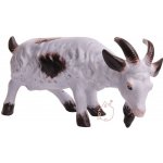 kozel – Zboží Dáma