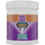 Altervet Cartilan Complete Mega 510 g 300 tbl – Zbozi.Blesk.cz