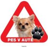 Autovýbava Grel nálepka na plech pozor pes v autě čivava