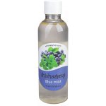 ShishaSyrup Melasa Borůvka s mátou 100 ml – Zboží Dáma