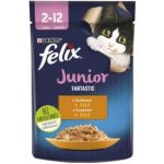 Felix Fantastic s kuřetem v želé 26 x 85 g – Sleviste.cz