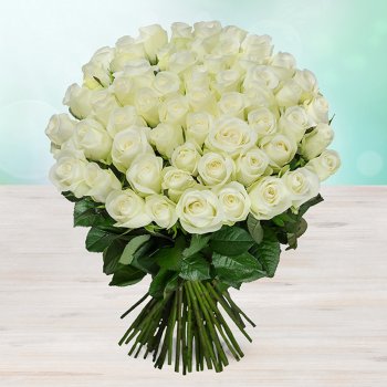 Rozvoz květin: Luxusní bílé růže - 70cm - cena za 1ks - Fleurametz - NL