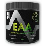 Puls Nutrition EAA 300 g – Zbozi.Blesk.cz