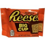 Reese's Peanut Butter Cups 39 g – Hledejceny.cz
