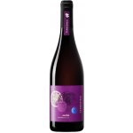 Terre di Rai Merlot Trevenezie IGT 2023 12,5% 0,75 l (holá láhev) – Hledejceny.cz