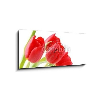 Obraz s hodinami 1D panorama - 120 x 50 cm - Tulpen tulipány – Zboží Mobilmania