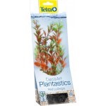 Tetra rostlina Red Ludwigia 23 cm – Sleviste.cz