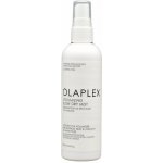 Olaplex Volumizing Blow Dry Mist 150 ml – Zboží Mobilmania