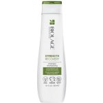 Matrix Biolage Strength Recovery Shampoo 250 ml – Zbozi.Blesk.cz