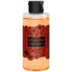Pan Drwal Steam Punk šampon na vousy 150 ml – Sleviste.cz