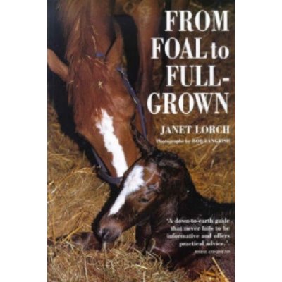 From Foal to Full-grown