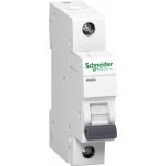 Schneider Electric A9K01116 – Hledejceny.cz