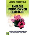 Energie pokojových rostlin – Hledejceny.cz