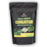Carne Labs Creatine micronized 100% monohydrate 1000 g – Zboží Mobilmania