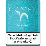 Camel for Ploom Teal karton – Zboží Dáma
