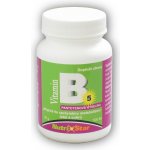 Nutristar Kyselina pantothenová B5 40 mg 100 tablet – Hledejceny.cz