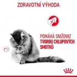 Royal Canin Hairball Care 4 kg – Hledejceny.cz