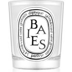 Diptyque Baies 190 g – Zboží Dáma