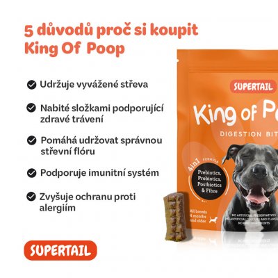 Supertail King Of Poop doplněk stravy pro podporu střevní flóry a imunity 60 ks – Hledejceny.cz