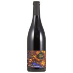 Vinařství Filip Mlýnek Merlot Pod Valtickou výběr z hroznů 2022 13,5% (holá láhev) – Hledejceny.cz