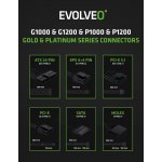 Evolveo G1000 1000W EG1000R – Zboží Živě