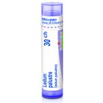 LEDUM PALUSTRE POR 30CH GRA 1X4G – Hledejceny.cz