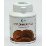 Institut Handan Lesklokorka lesklá 30 g 120 kapslí – Hledejceny.cz