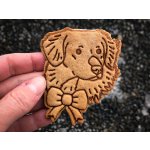 TVOŘÍTKO Nova Scotia Duck Tolling Retriever II - vykrajovátko – Hledejceny.cz