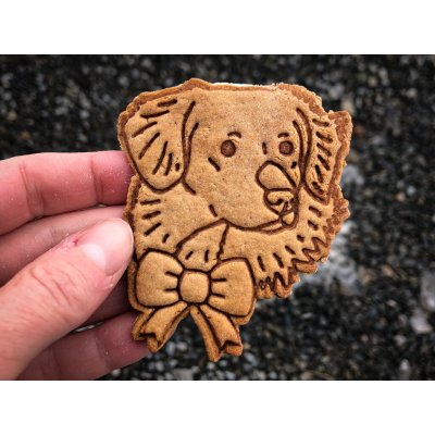 TVOŘÍTKO Nova Scotia Duck Tolling Retriever II - vykrajovátko – Hledejceny.cz